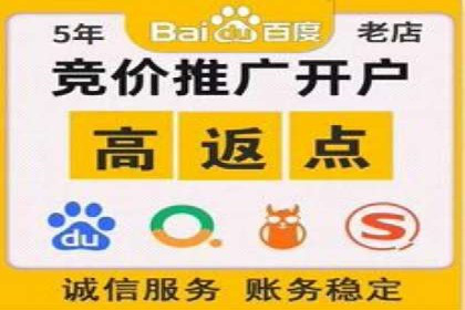 百度竞价赚钱秘诀：实战案例分析